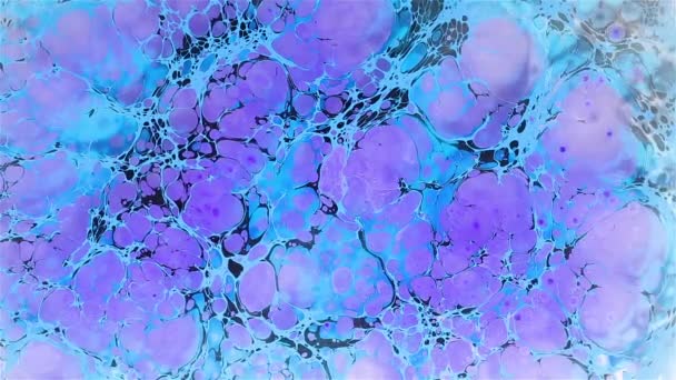 Эбру фиолетовый и синяя краска красивый абстрактный узор — стоковое видео