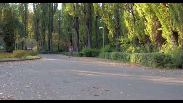 L'homme court dans la forêt verte d'été éclairée par le soleil — Video