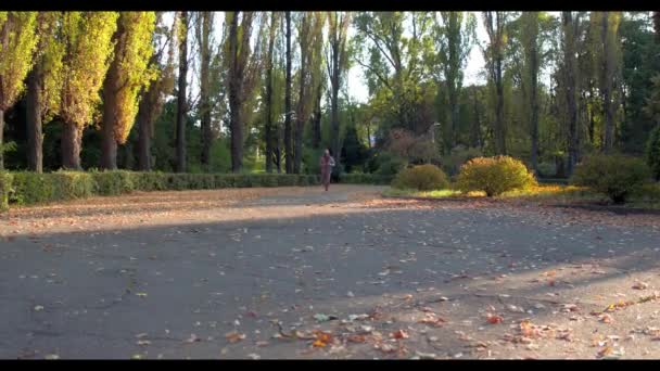 태양으로 밝게 녹색 여름 숲에서 달리는 남자 — 비디오