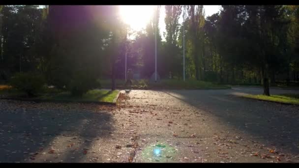 L'homme court dans la forêt verte d'été éclairée par le soleil — Video