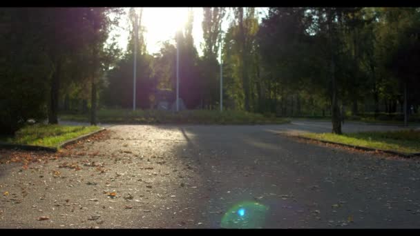 L'homme court dans la forêt verte d'été éclairée par le soleil — Video