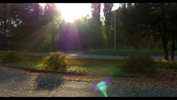 Adam güneşle aydınlatılmış yeşil sonbahar ormanında koşar — Stok video
