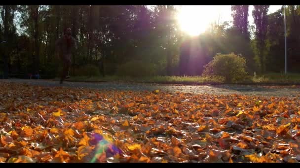 El hombre corre en verde bosque de otoño aligerado con el sol — Vídeo de stock