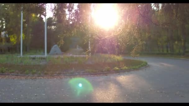 Sportive man runs in green autumn forest lightened with the sun — Stock Video