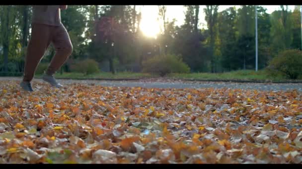 スポーティな男は、太陽で明るく緑の秋の森で実行します — ストック動画