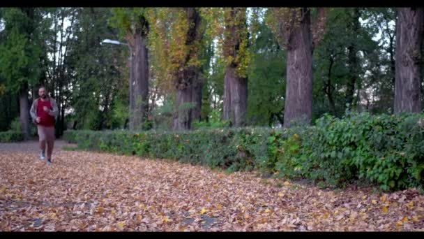 Sportivní člověk běží v zeleném podzimním lese s sluncem — Stock video