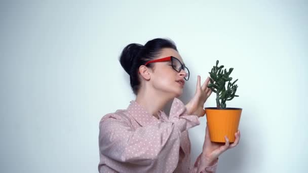 Brunette sexy en lunettes transparentes avec fleur à la maison en studio — Video