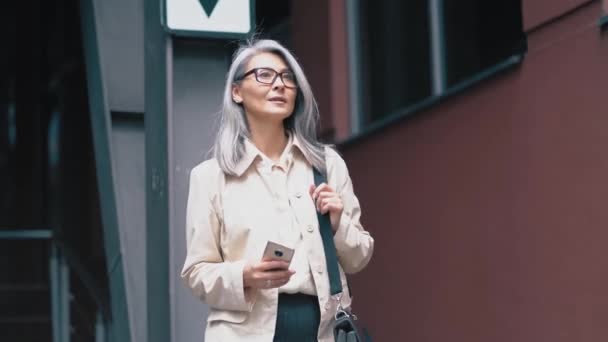 La mujer caminando por la calle 2 — Vídeo de stock