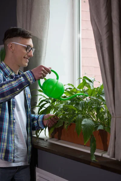 Freelancer hombre de pie junto a la ventana regando plantas. Hombre en la oficina del hogar cuidando macetas. Perfil o vista lateral — Foto de Stock