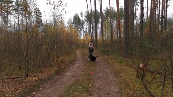 En kvinna med hund reser på fot med en ryggsäck på en skogsväg på en varm höstdag. Smart Black Shepherd förväntar sig att kastas en boll. Prores 422 — Stockvideo