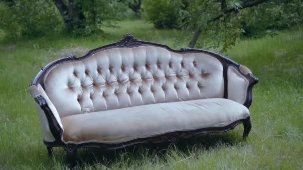 Klassisches Barocksofa "Bella" aus Holz, weiches Luxussofa. Kamera herauszoomen. Prores 422 — Stockvideo