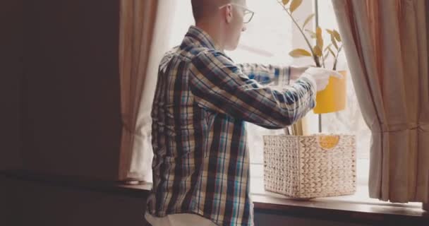 Liberté de travailler à la maison. Happy freelance prend fleur dans une boîte et sourire heureux. Homme indépendant travaillant à la maison debout près de la fenêtre. Liberté de travailler en dehors du bureau. Prores 422 — Video