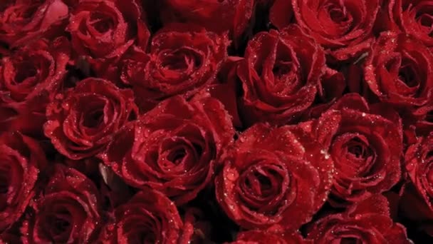 Belle rose rosse nel giardino sull'erba. Giornata estiva soleggiata. Enorme mazzo di fiori. — Video Stock