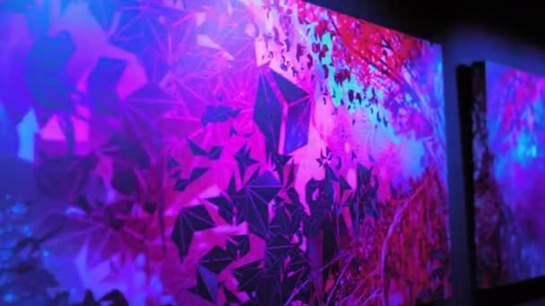 Sergideki neon tabloları. Modern sanatın sergisi. Hint temalı, Budizm. Yüksek kalite 4K görüntü. 27 Mart 2019. Kyiv, Ukrayna — Stok video
