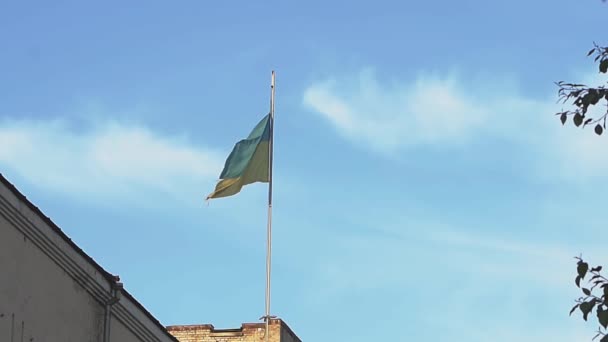 Ukrainian flag fluttering in the wind. Background. Beautiful sunny weather. — Stock Video