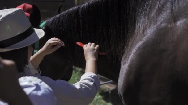 帽子を被った若い女性は馬のたてがみを結合する。マレスブラックマンは櫛で結合されています。農場の概念上の動物の世話。高品質4k映像.2020年8月29日。ウクライナのキエフ — ストック動画