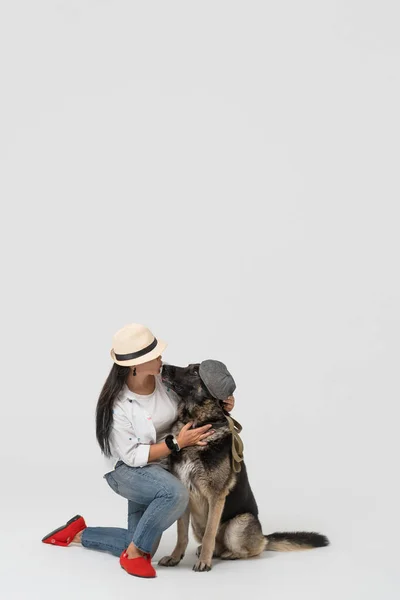 Vrouw met hoed kust schaapshond in pet tegen een geïsoleerde achtergrond. Eigenaar zit met de hond in de studio. Hoge kwaliteit foto — Stockfoto