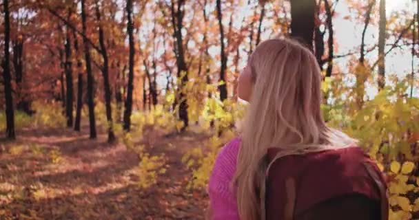 Blond medelålders kvinna med röd ryggsäck går i skogen. Friluftsliv. Vacker solig dag.Friska semester. — Stockvideo