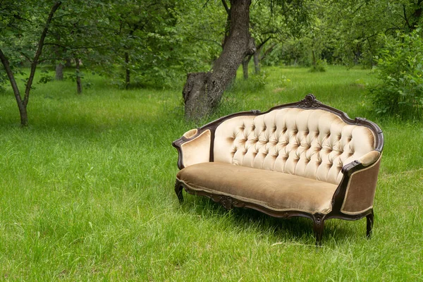 Vintage Sofa steht im Garten. Im Hintergrund grüne Bäume. Hochwertiges Foto — Stockfoto