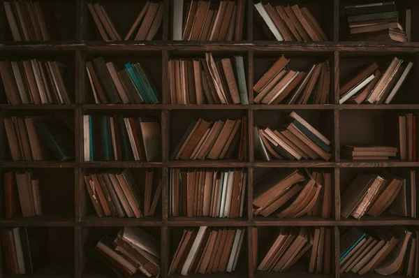 Papirbøger på træ bogreoler. Bibliotek koncept. Abstrakt retro baggrund eller tapet. Farvet billede. Høj kvalitet foto - Stock-foto