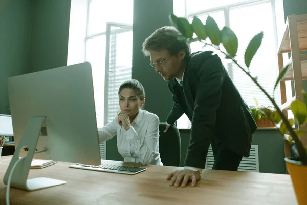 Jóvenes empresarios que trabajan con computadoras. Hombre caucásico vistiendo ropa formal y su compañera mirando al monitor. Trabajo en equipo en la oficina. Imagen tonificada. Foto de alta calidad — Foto de Stock