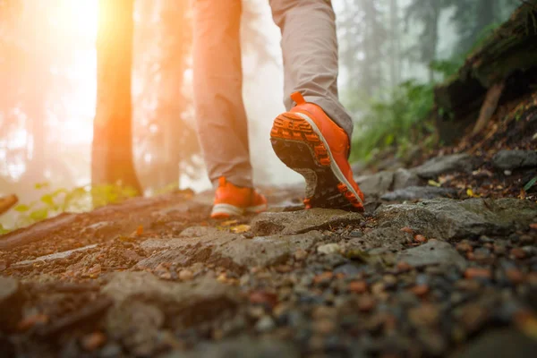 Photo of human walking on ladder of logs — Stock Photo, Image