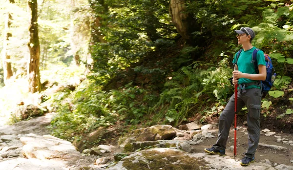 Foto de un turista con bastones en el bosque — Foto de Stock
