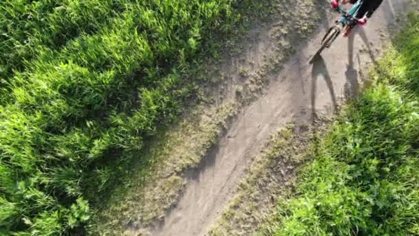 Воздушный вид сверху на сельскую дорогу с велосипедистом — стоковое видео