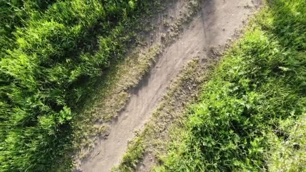 Luchtfoto van de topdown boven pad van landelijke weg met fietser — Stockvideo