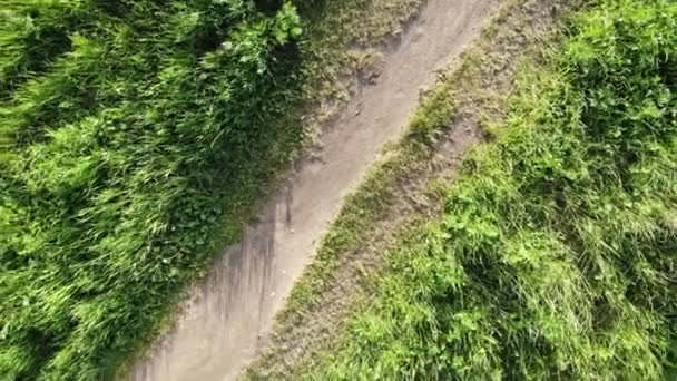 Luchtfoto van de topdown boven pad van landelijke weg met fietser — Stockvideo