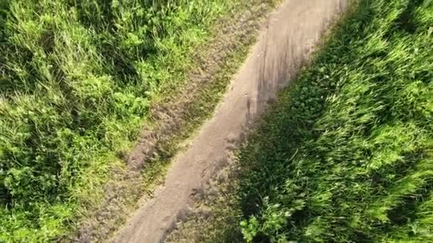 Aerial top-down view above path of rural road with bicyclist — Stock Video