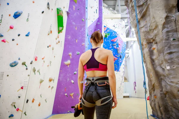 암벽 등반을 위한 벽의 배경에 젊은 여자 선수 뒤에서 사진 — 스톡 사진