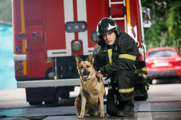 Photo of one fireman squatting next to service dog near fire engine — Stock Photo, Image