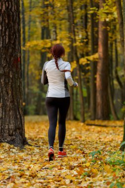 Tam büyüme esmer ormandaki arkadan resim