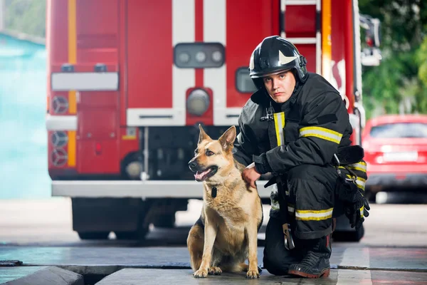 Foto de un joven bombero en cuclillas junto al perro de servicio cerca del camión de bomberos —  Fotos de Stock