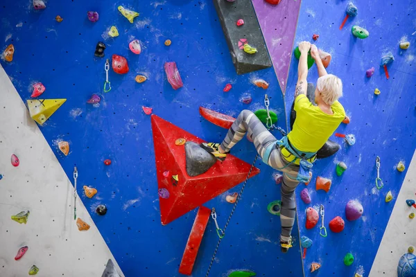 Foto von der Rückseite des Sports Blondine klettert blaue Wand in Turnhalle — Stockfoto