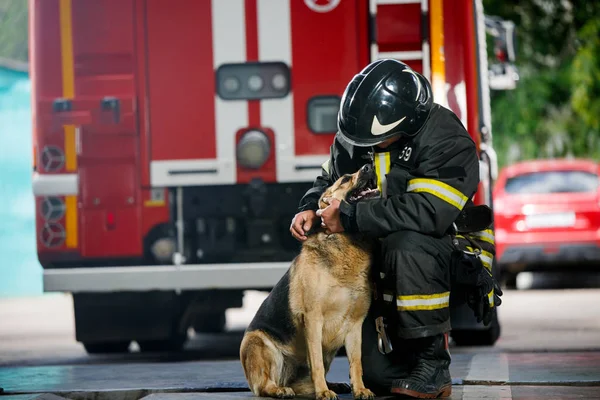 Foto de bombero en cuclillas junto al perro de servicio cerca del camión de bomberos —  Fotos de Stock