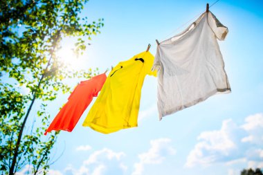 Photo of three different colored T-shirts hanging on ropes against blue sky with tree tops. clipart