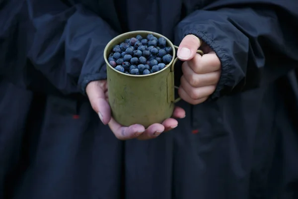 Teljes fém csésze friss áfonya, kezében — Stock Fotó