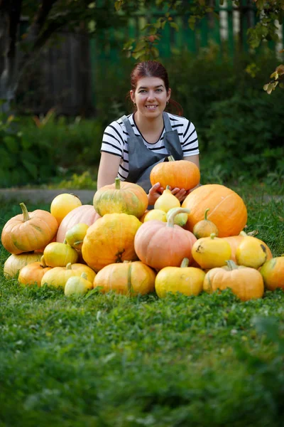 Image of happy gardener brunette in gray apron among pumpkin harvest on green lawn