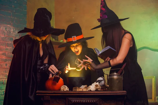 大釜でポーションを沸騰の本で 3 人の魔女の肖像画 — ストック写真