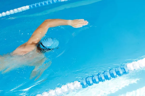 Freestyle swimmer in swimming pool — Stock Photo, Image