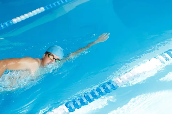 Фристайл-пловец в бассейне — стоковое фото