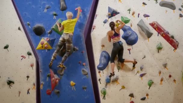 Vista trasera de mujeres practicando escalada en roca en la pared de escalada — Vídeos de Stock