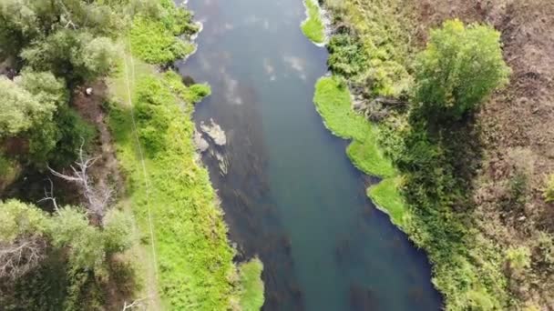 Εναέρια κορυφή προς τα κάτω άποψη του ποταμού — Αρχείο Βίντεο