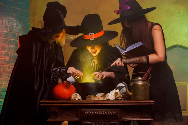 Imagen de tres brujas hirviendo pociones en caldero — Foto de Stock