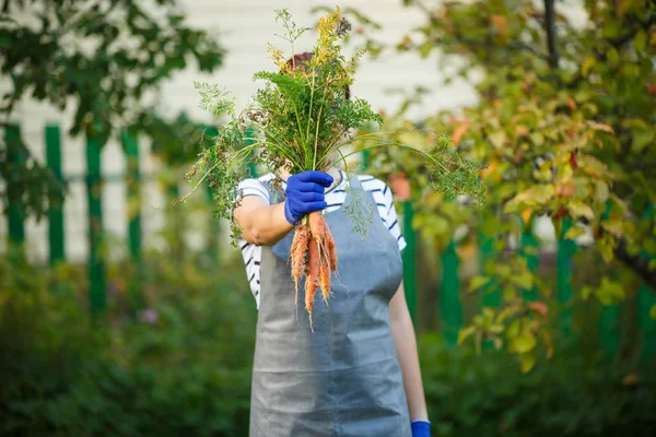 Foto van vrouw met wortel in handen op de tuin — Stockfoto
