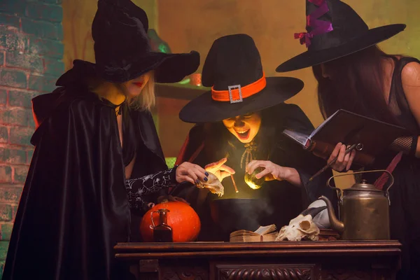 Photo de trois sorcières en chapeaux avec un livre de potions faisant des potions en chaudron — Photo