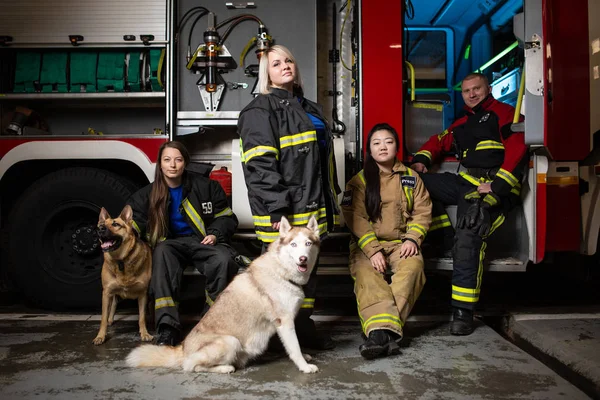 Foto de tres bomberos, bombero y perro en el fondo del camión de bomberos — Foto de Stock