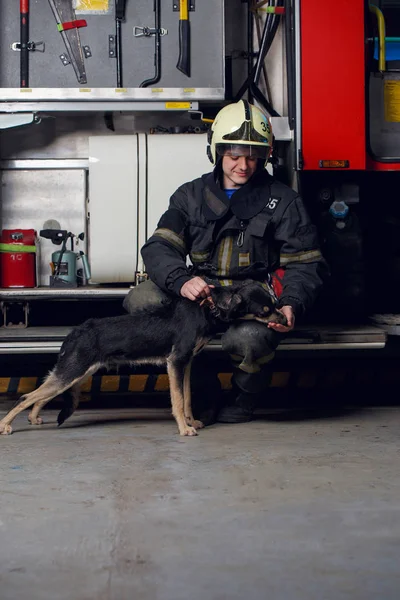 Obrázek o šťastné hasič v helmě se psem — Stock fotografie